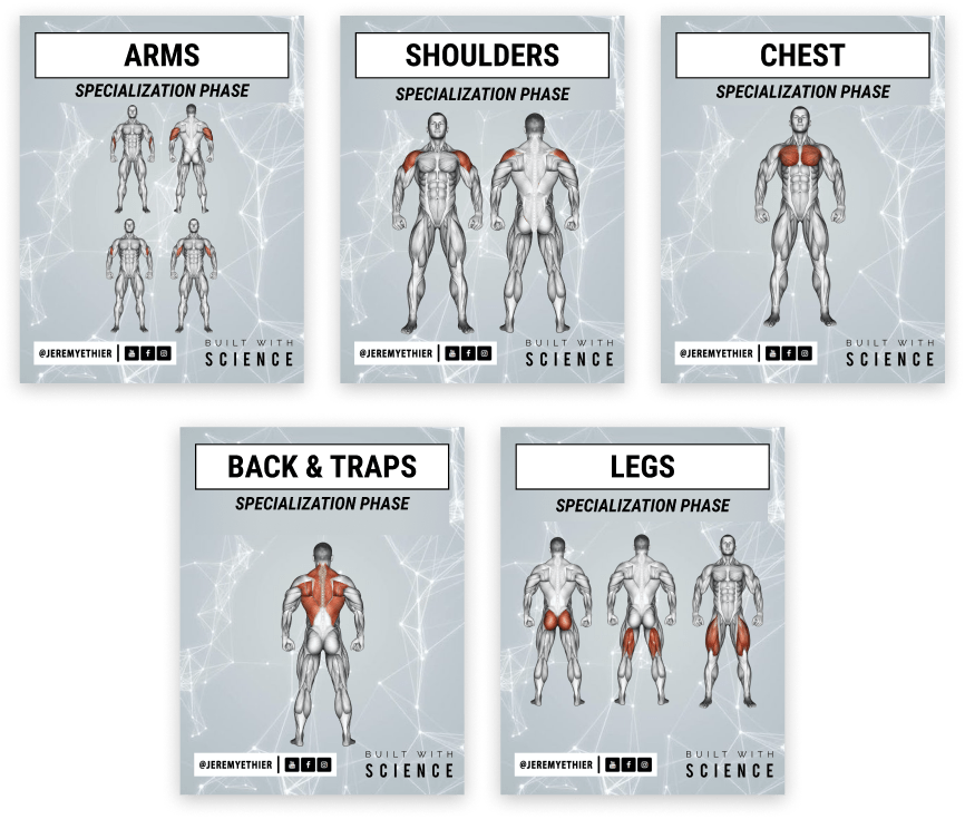 Intermediate Shred | Lose Fat & Build Muscle