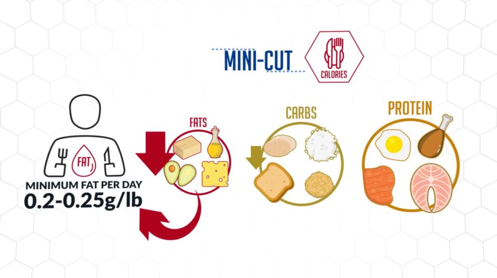 How To Lose A Lot Of Fat Quickly (Mini-Cuts Explained)