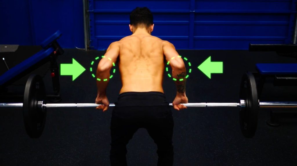 14 Best Back Exercises For Building Muscle - Built With Science