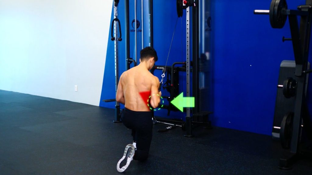 Back Exercises  Kneeling Lat Pulldown