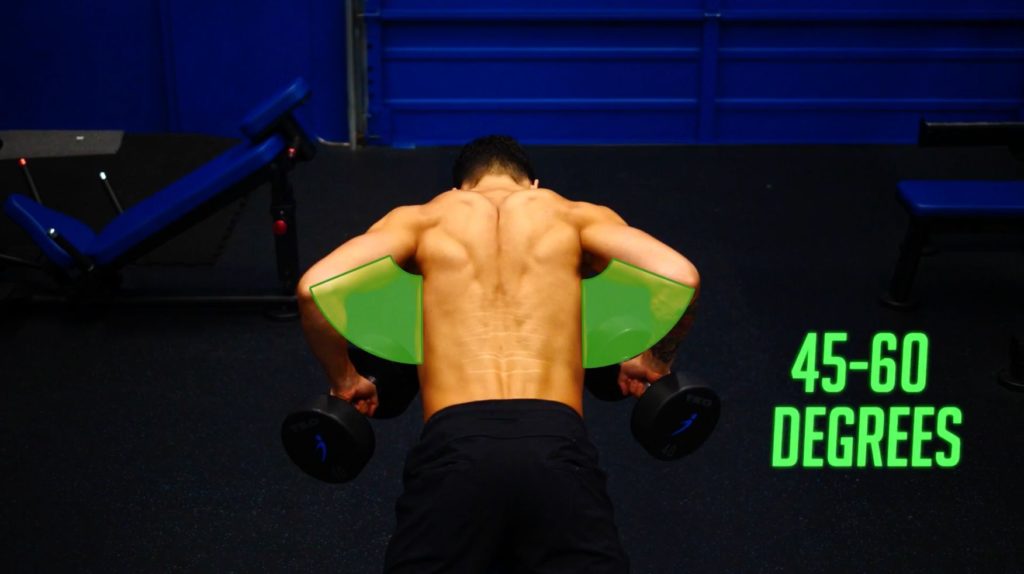 Best upper back exercises chest supported dumbbell rows