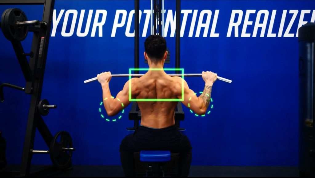 14 Best Back Exercises For Building Muscle - Built With Science