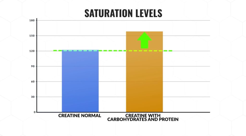 Superior creatine saturation levels with carbohydrates and protein