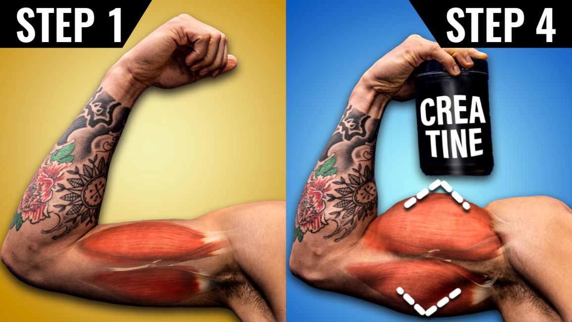 how-to-take-creatine-to-build-muscle