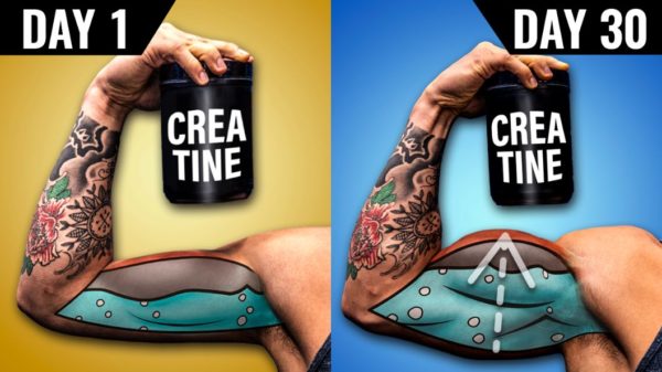 Creatine Before And After: Discover What Happens When You Take It For ...