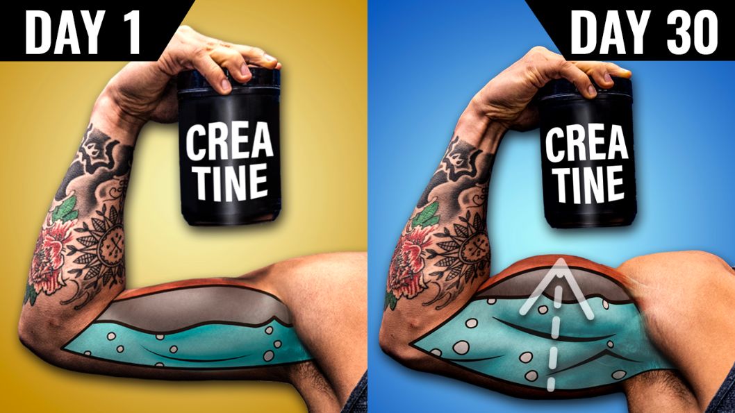 Creatine before and after cover image (1)