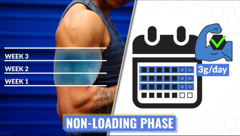 How long creatine saturation takes when using the non-loading phase