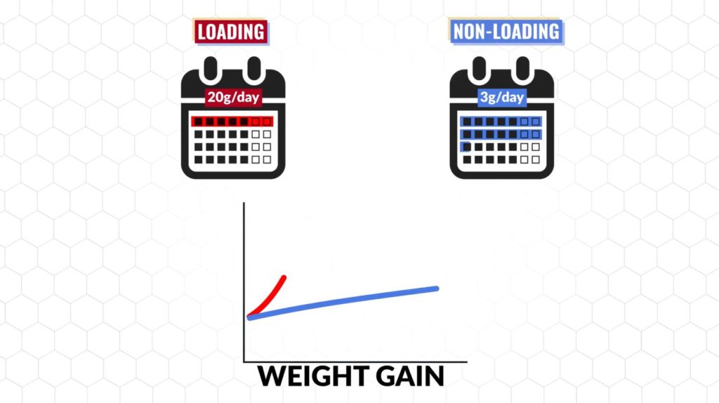 Weight gain before and after creatine depending on the loading protocol you use