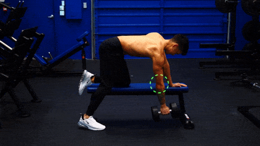 Dumbbell One Arm Bent Over Row