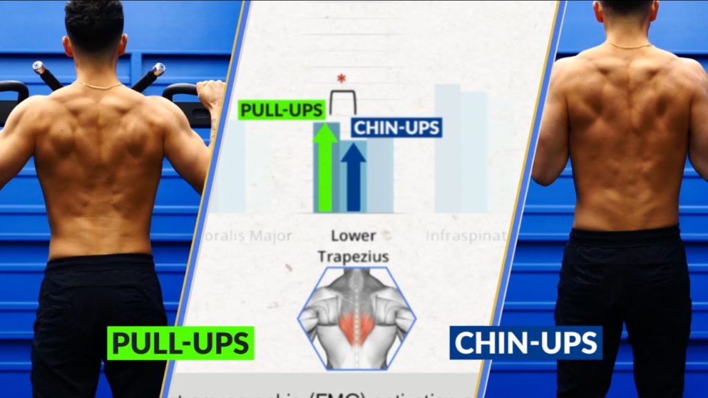 Lower traps involvement in the pull up vs chin up