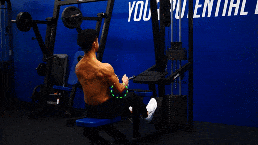 Seated Cable Row (Lat Focused)
