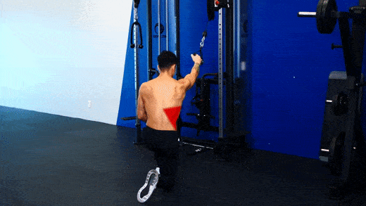 Single Arm Lat Cable Pulldown