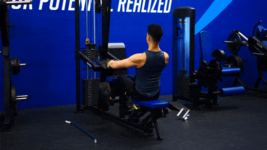 Wide Grip Seated Cable Row