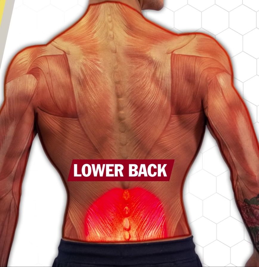 Lower back anatomy shot