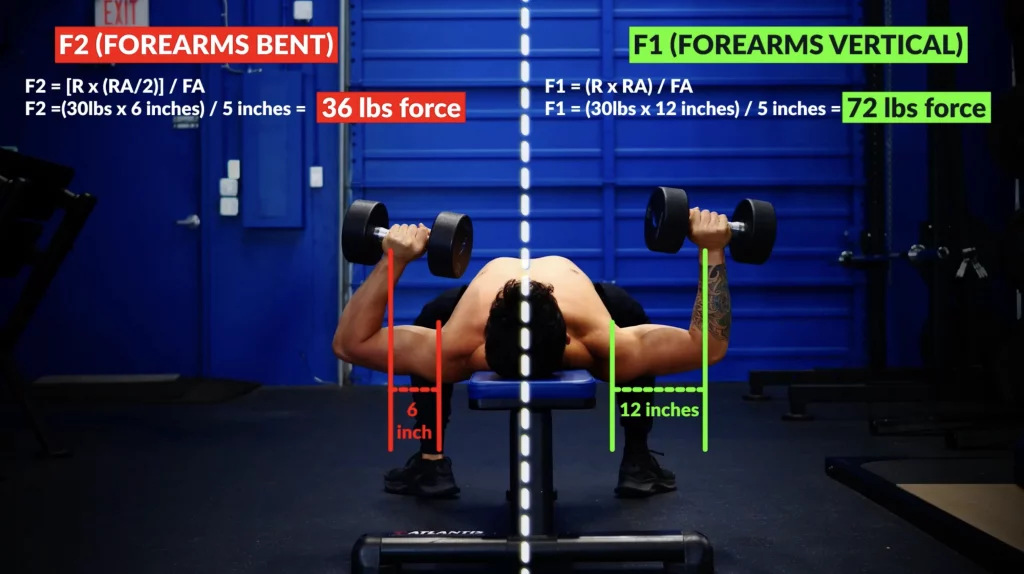 Entraînement de poids pour les débutants : les 10 exercices essentiels https://builtwithscience.com/wp-content/uploads/2022/07/Difference-in-load-between-bending-and-not-bending-your-forearms-on-the-dumbbell-bench-press-1024x574.webp?utm_source=chatgpt.com