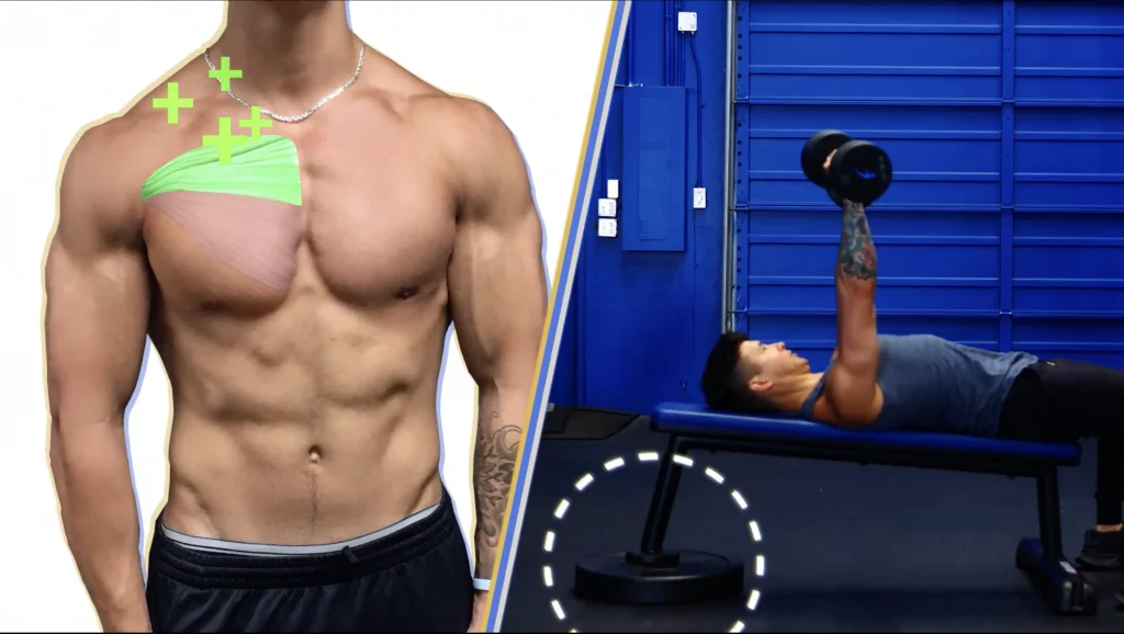 How to perform the incline dumbbell bench press