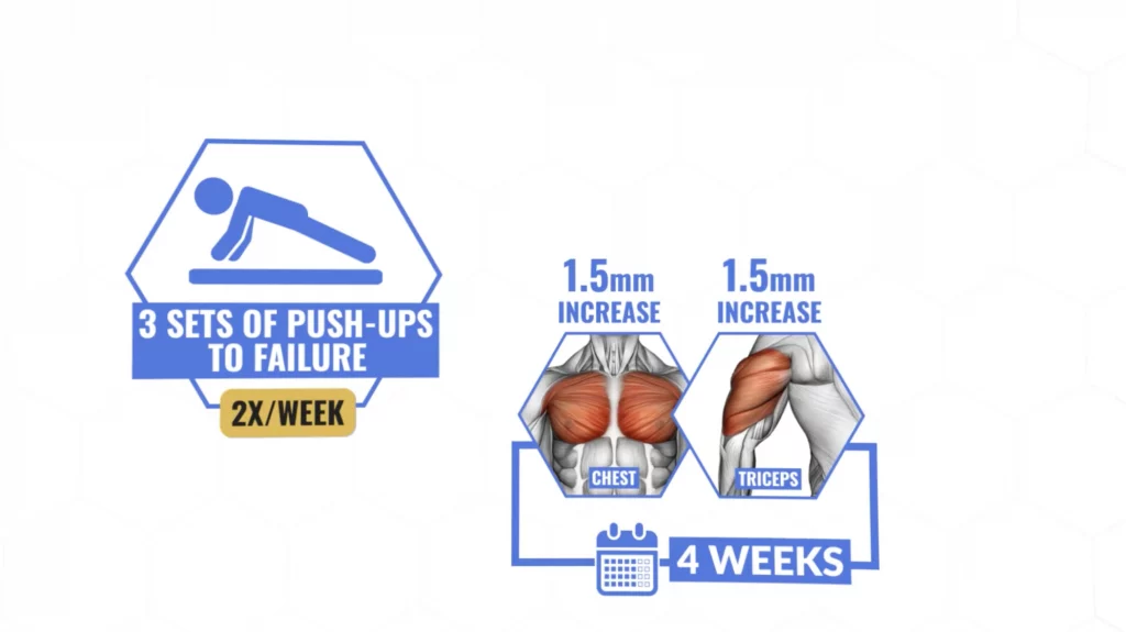 Muscle size increase you could expect from doing 100 pushups a day