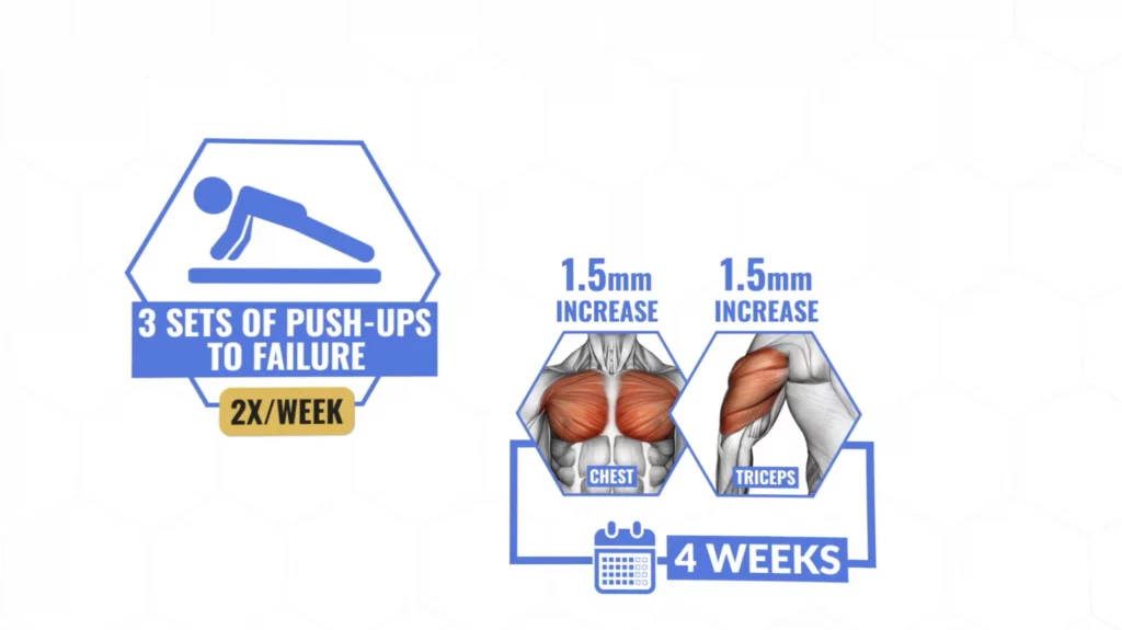 How Many Push-Ups Should You Do Per Day?