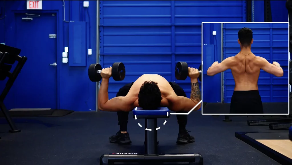 The dumbbell chest press can be performed on a flat bench an