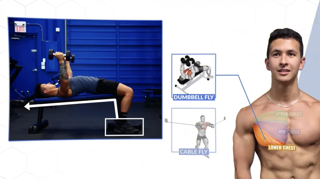 Standing High to Low Cable Fly: Video Exercise Guide & Tips