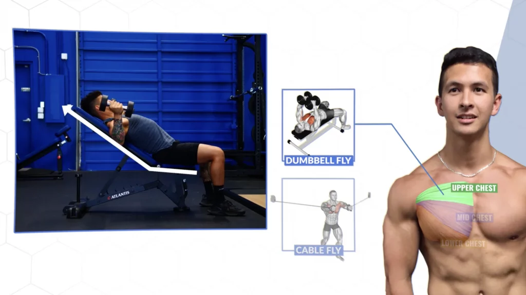 Hit the upper chest with dumbbell chest flyes