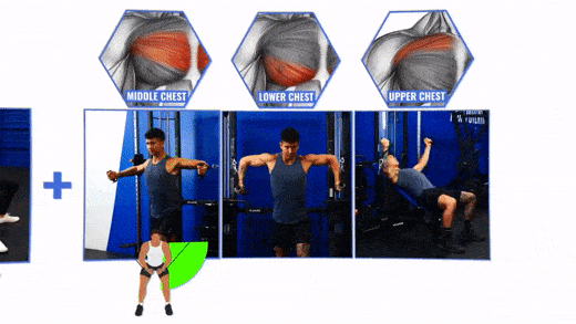 How to build a well developed chest with chest flyes