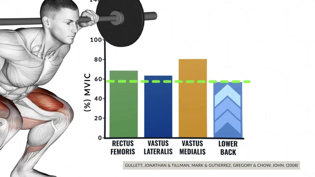 T NATION on X: Nobody who has extremely muscular legs relies only on  squats, period. Here's why you need the right exercises for total growth:    / X