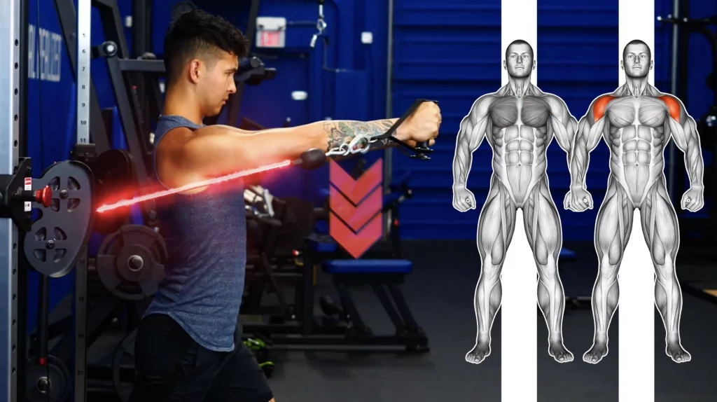 Super Fly: Your Complete Guide To Chest Flyes