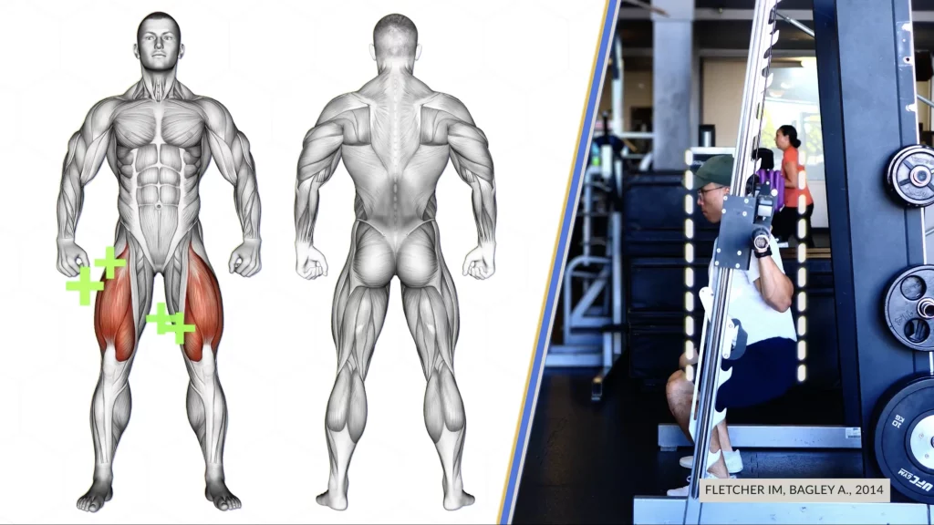 Using the Smith Machine to perform your back squats could increase activation of your quads
