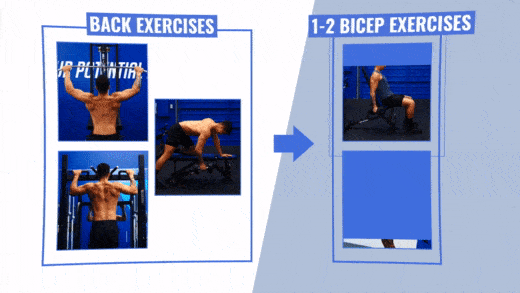 How to get big biceps by adding isolated biceps exercises to compound back exercises