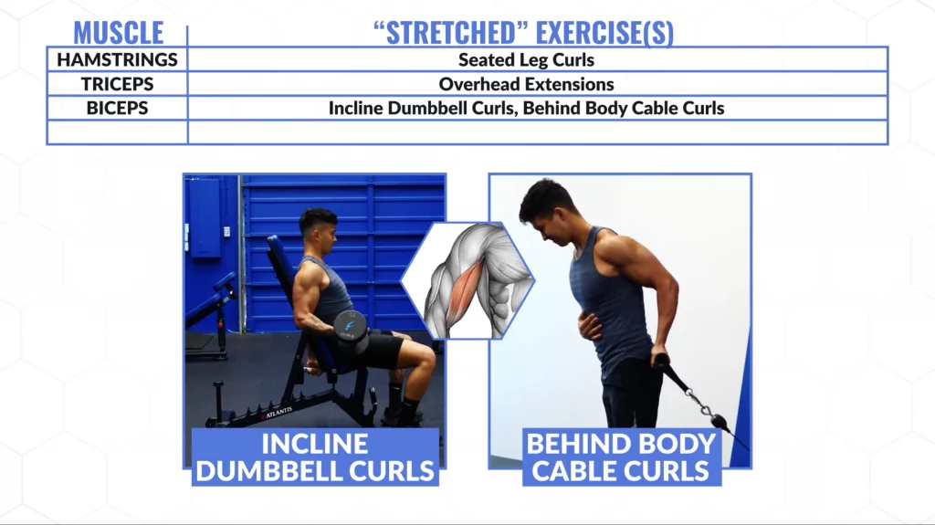 Stretching discount cable exercises