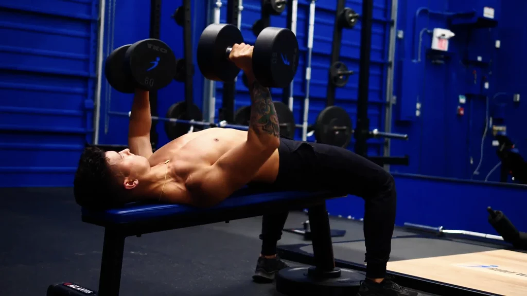 Bench press compound online exercise