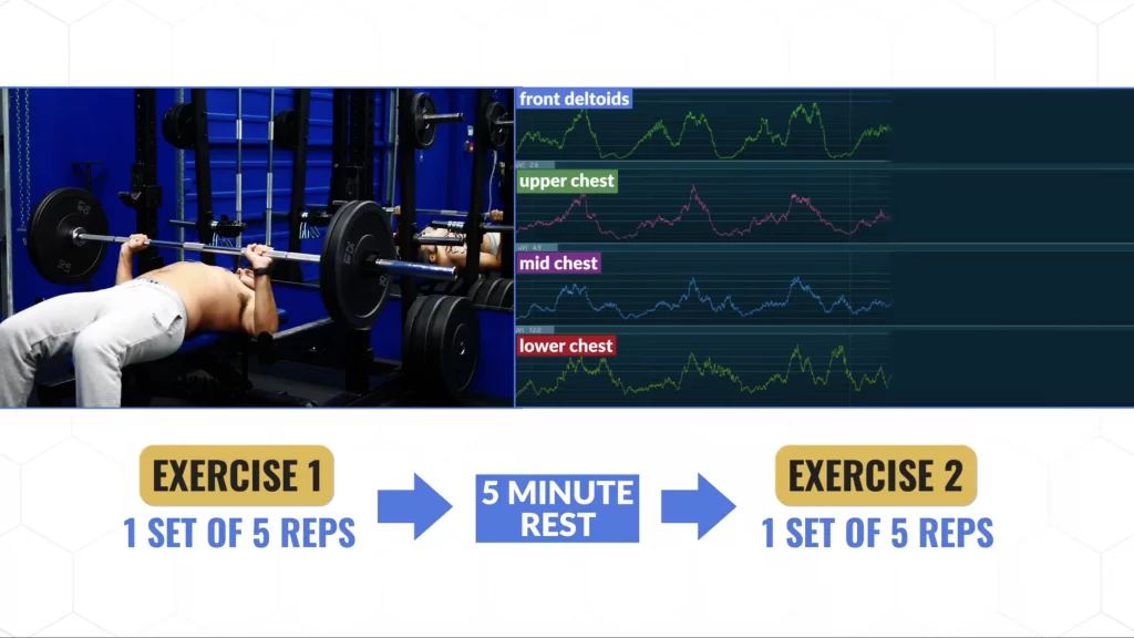 The best chest exercises experiment setup