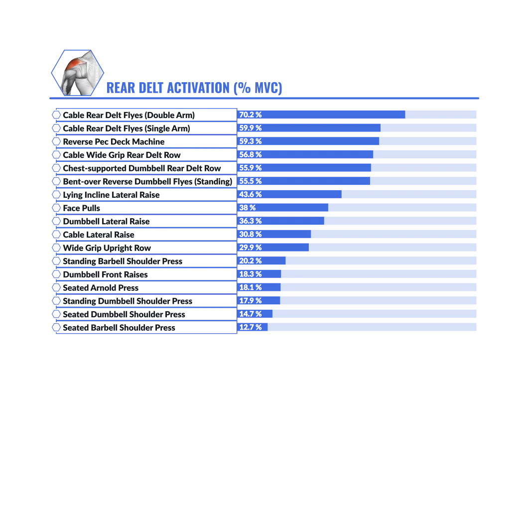 The best shoulder exercises Graphic web Shoulder EMG graph - AVG Rear