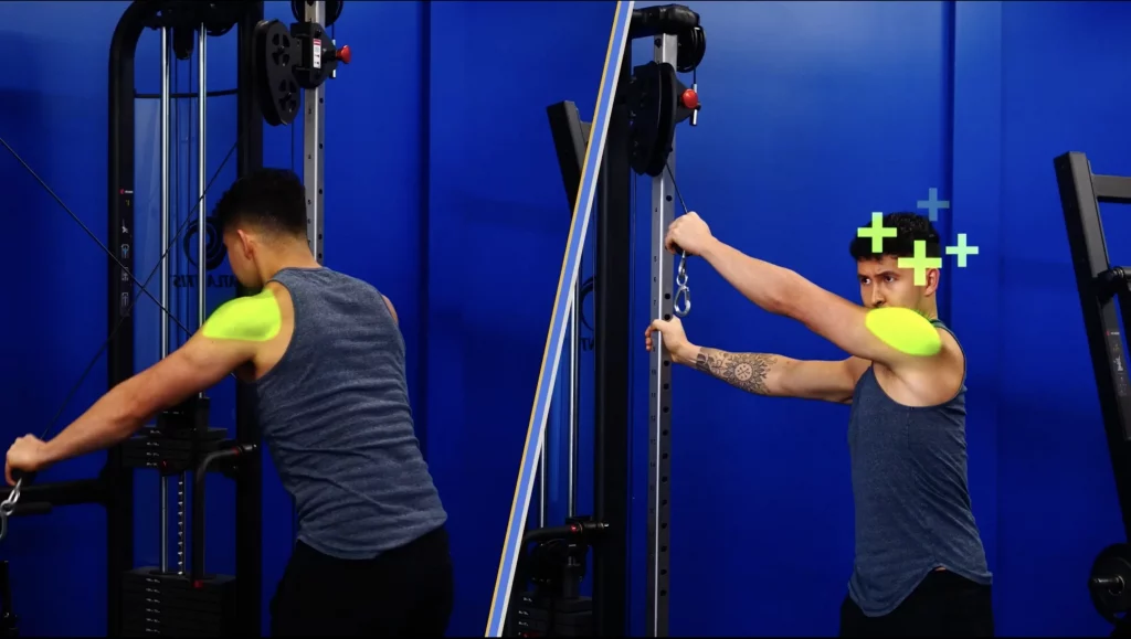The best shoulder exercises cable rear delt flyes double arm vs single arm