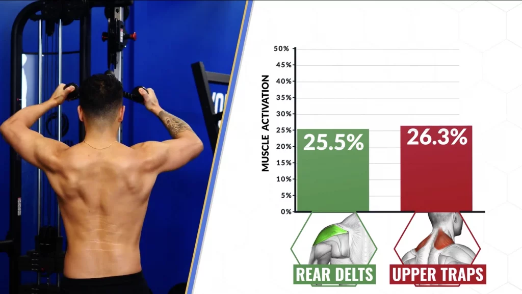 The best shoulder exercises face pulls activate traps more