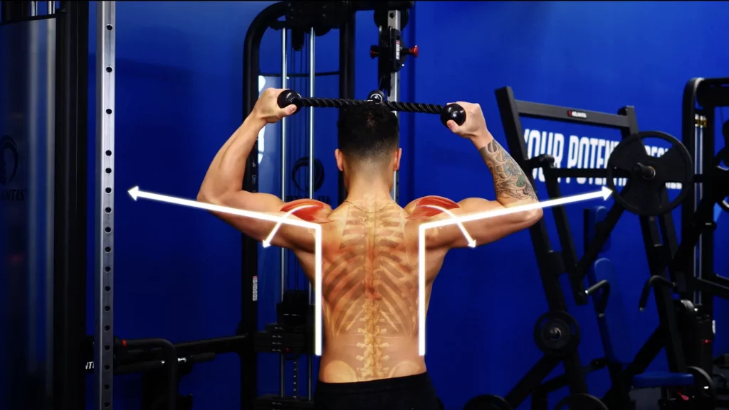 The best shoulder exercises face pulls not lined up with rear delts