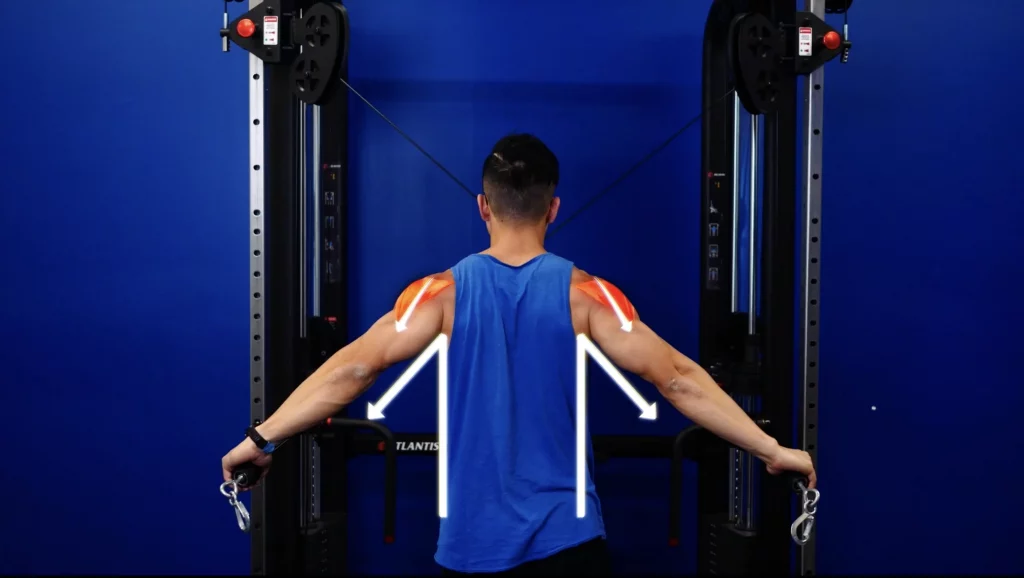 The best shoulder exercises rear delts lined up with the cable rear delt flyes