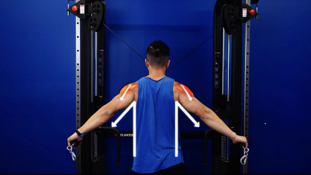 3 Powerful Back Workouts For Size And Strength