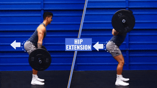 Best glute exercises for lower glutes hip extension