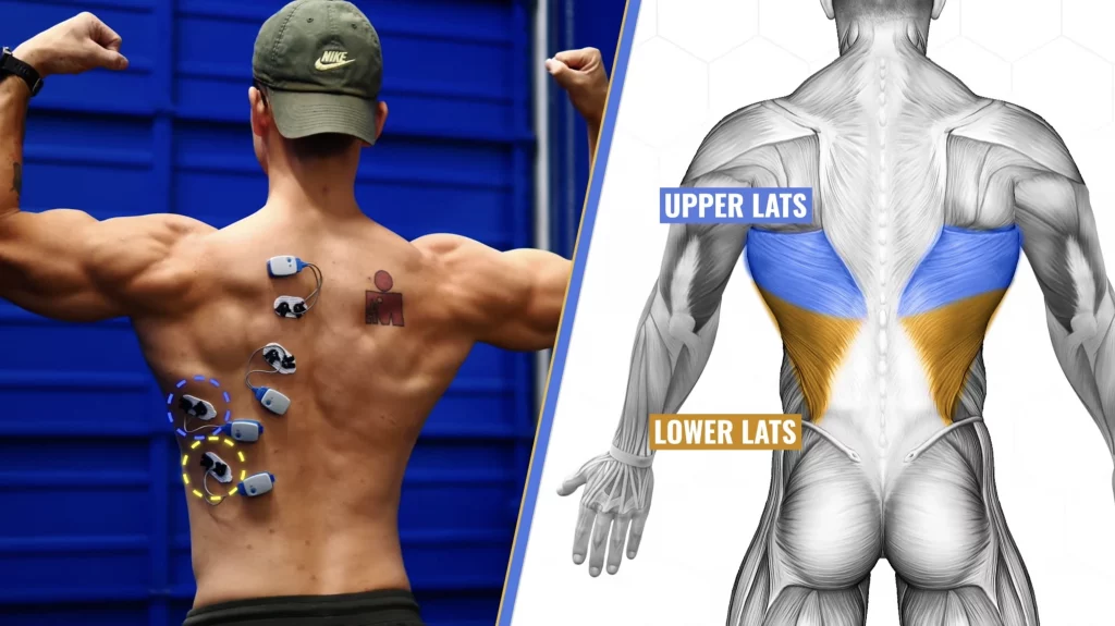 Sensor placement to determine best exercises to include during back workouts