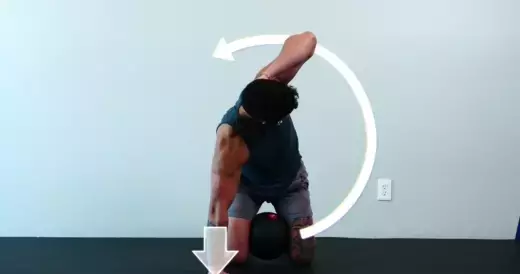 Quadruped back extensions posture correction routine