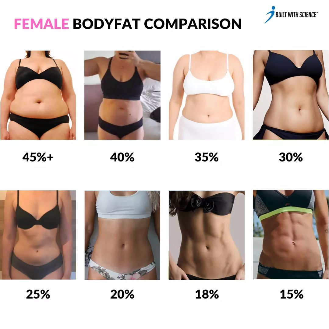 Body Recomposition Calculator: Build Muscle and Lose Fat