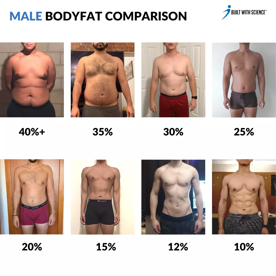 Body Fat Male Examples Body Recomposition Calculator: Build Muscle and Lose Fat