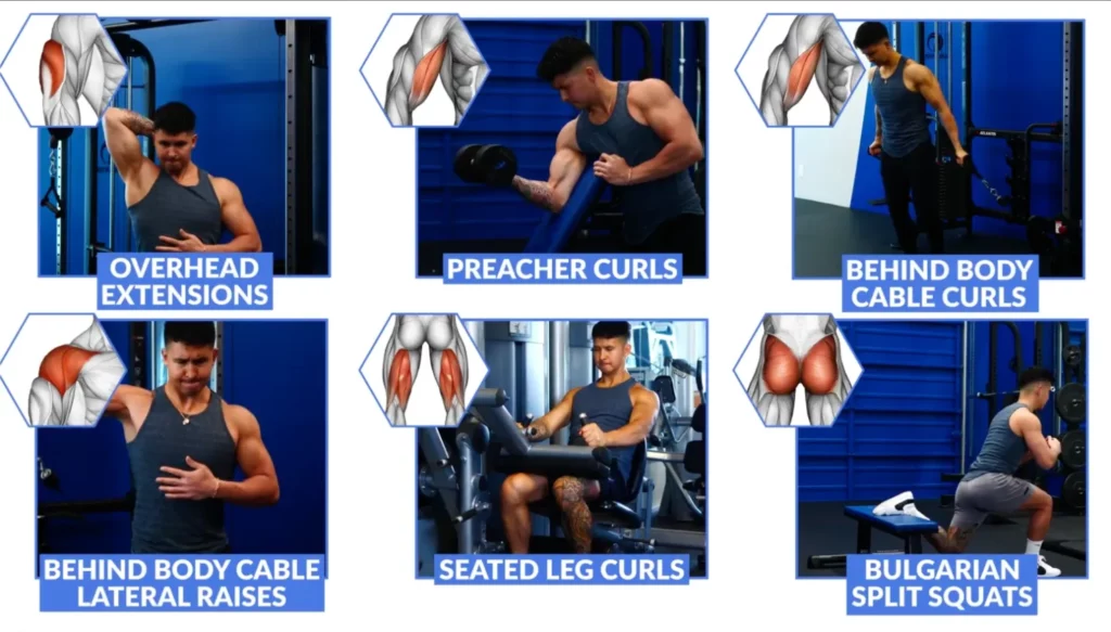 Exercises that make use of stretch mediated hypertrophy to help you grow muscle fast
