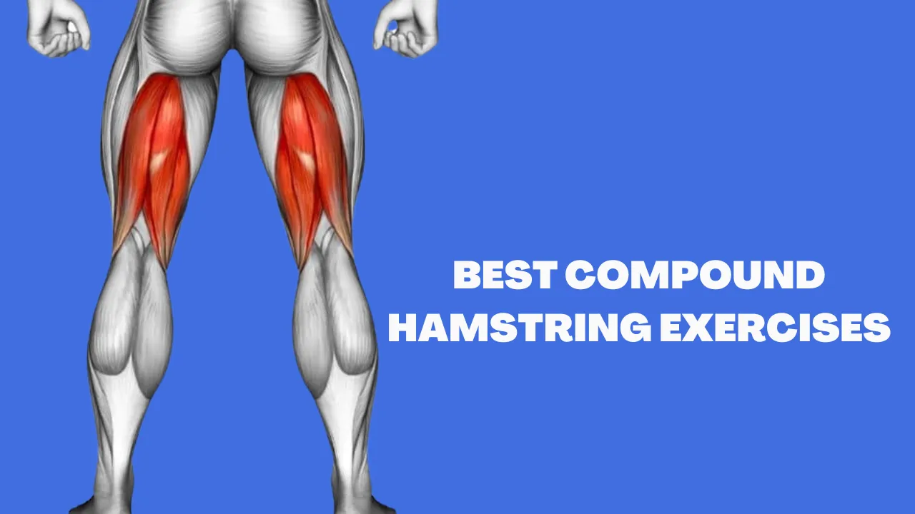 Best hamstring compound exercises cover image