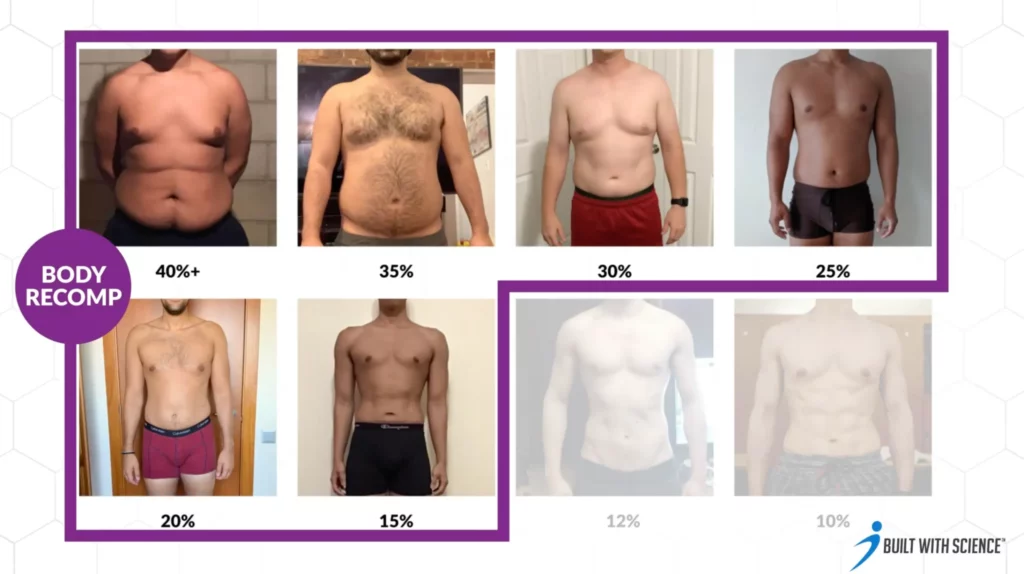 Body fat percentage males suitable for body recomposition