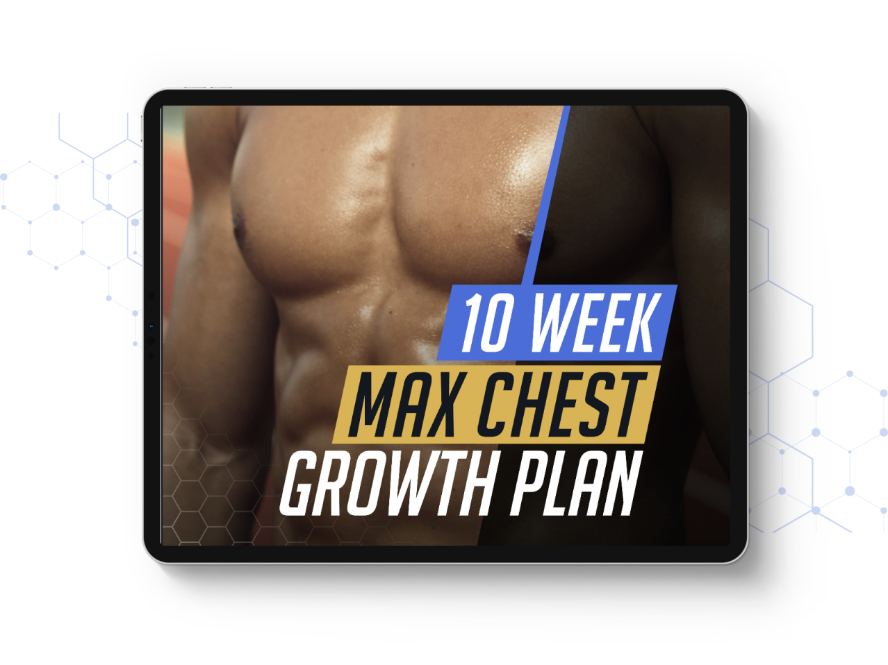 max chest growth plan