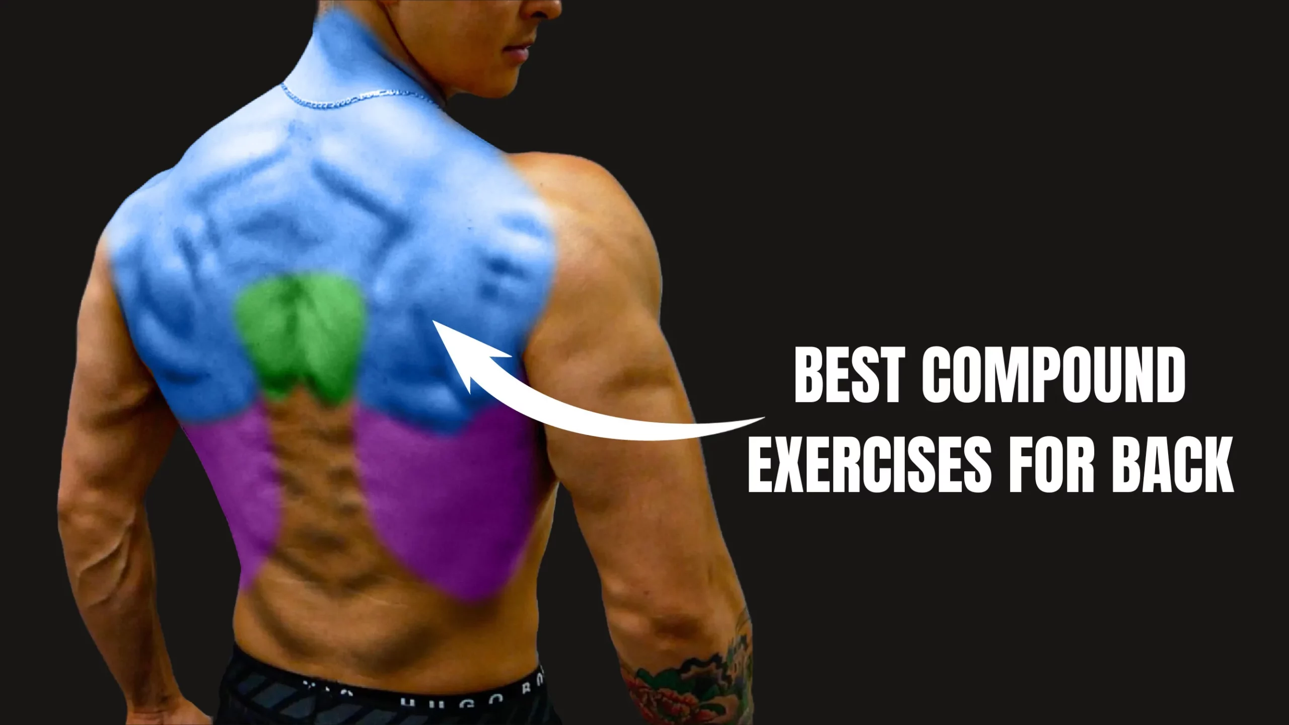 BEST COMPOUND EXERCISES FOR BACK