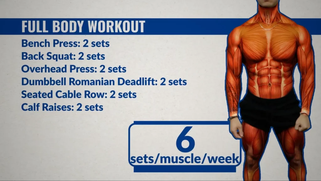 Full body workout to build muscle fast